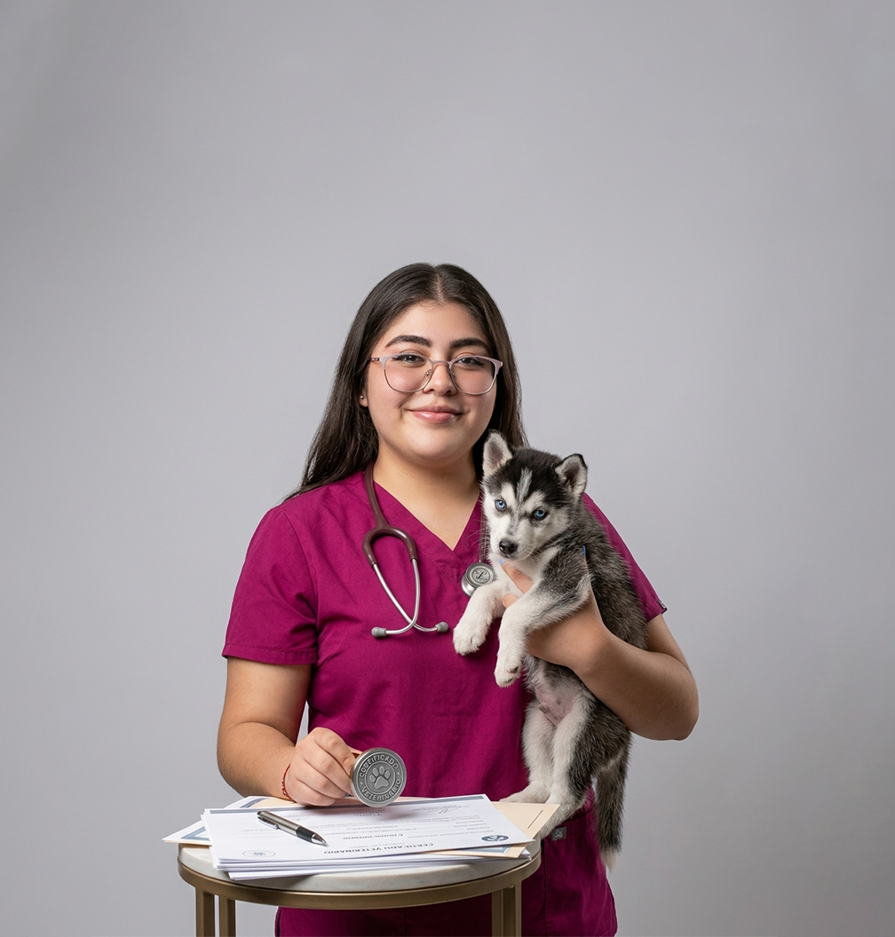 Certificados médicos
